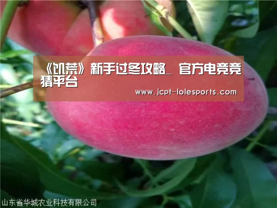 《饥荒》新手过冬攻略_ 官方电竞竞猜平台(图2) 官方电竞竞猜平台