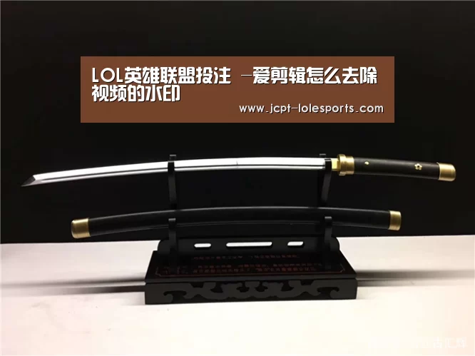 LOL英雄联盟投注 -爱剪辑怎么去除视频的水印(图2) LOL英雄联盟投注